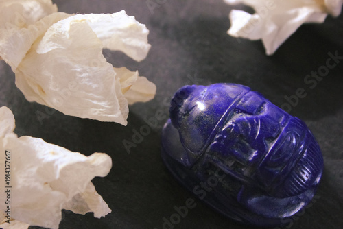 Lapis lazuli scarab beetle carving with dried white flowers on dark stone background, ancient symbol.