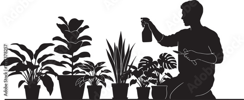 Silhouette of a man tending to various indoor potted plants, spraying them with water and pruning, representing home gardening and plant care.