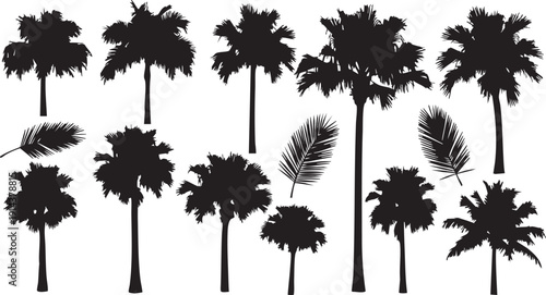 Black silhouettes of various palm trees on white background tropical 1