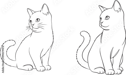Two adorable kitten outline drawings, gazing intently with curious eyes. Perfect for projects about pets