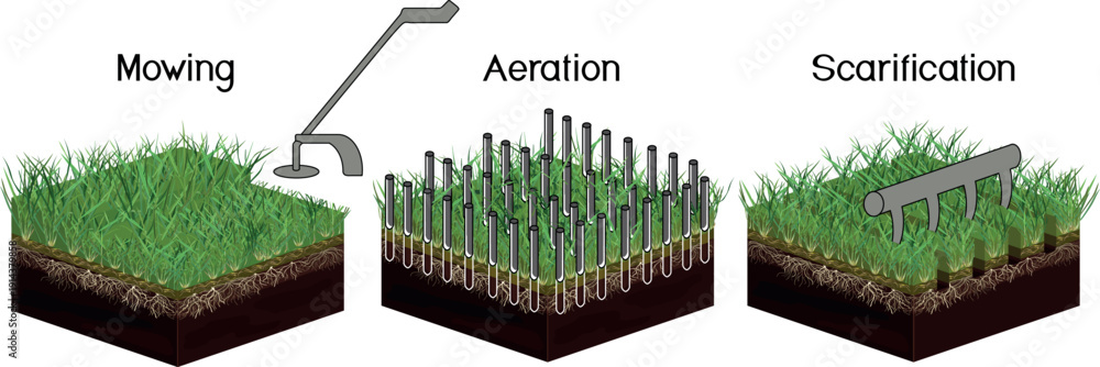 Obraz premium Lawn care: mowing, aeration and scarification