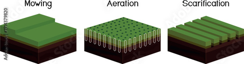 Lawn care: mowing, aeration and scarification