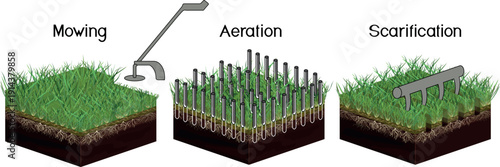 Lawn care: mowing, aeration and scarification