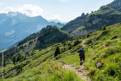 Wallpaper Mural A woman and her dog hiking from mount Faulhorn to Schynige Platte Torontodigital.ca