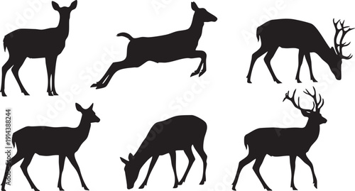 Black silhouettes of deer in various poses on white background animals 1