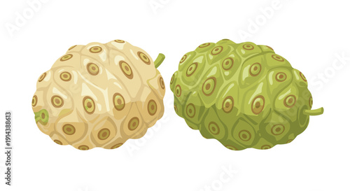 Two noni fruits, one light beige and the other deep green, display their distinct bumpy textures side by side against a white background.