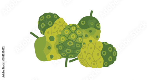 A cluster of abstractly depicted noni fruits in varying shades of green, characterized by their textured, bumpy surfaces, are shown together.