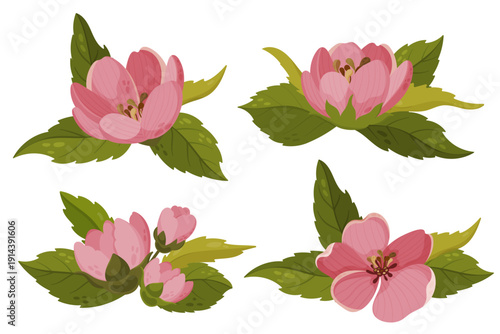 Collection of four isolated pink flower arrangements with green leaves. Vector botanical elements featuring cherry or apple blossoms for spring design and decoration