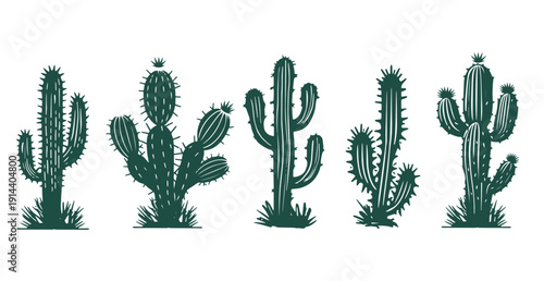 Cactus set hand drawn illustrations
