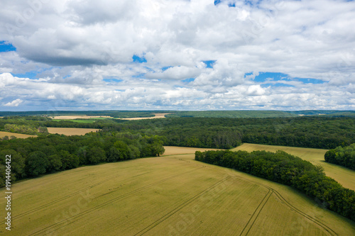 Expansive golden fields bordered by lush green woodland stretch beneath a dramatic sky filled with billowing clouds, creating a peaceful rural landscape.