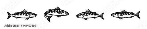 Set of fish drawings in row, flat vector illustration of marine life