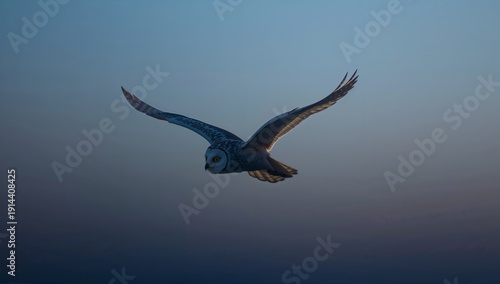 Owl Flies Through the Dusk Sky Over a Quiet Landscape at Twilight Searching f...
