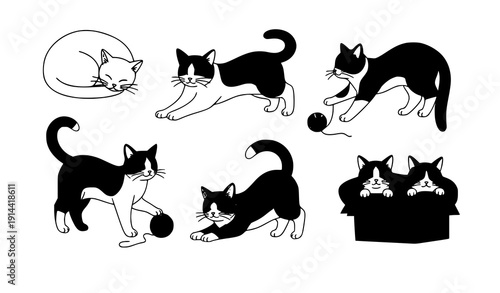 Cute purebred cat characters flat vector illustration set