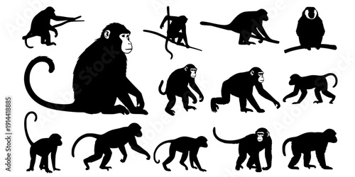 Monkey silhouettes, Monkey silhouette collection, Sitting monkey silhouette, Monkey, Monkey clipart, Monkey
