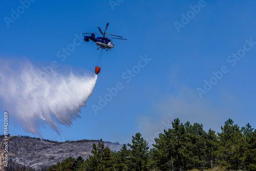Quadro su tela Firefighting helicopter dropping water on a forest fire in a pine forest