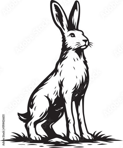 Cobra King cobra grass habitat coiled striking pose wildlife illustration for branding and label