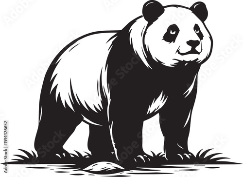 Giant panda Panda bear bamboo habitat standing calm wildlife illustration for packaging branding