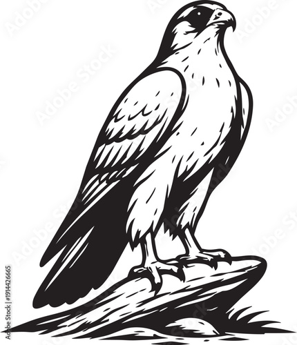 Falcon raptor perched on rock detailed linocut illustration for wildlife logo packaging label and branding use