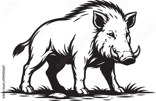 Wild boar sus scrofa standing detailed linocut illustration for hunting logo packaging label and branding use