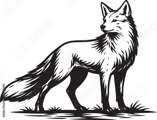 Fox vulpes standing alert detailed linocut illustration for wildlife logo packaging label and branding use