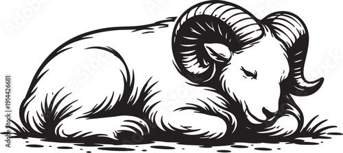 Mouflon ram Wild sheep wildlife ground resting curled detailed linocut illustration for logo packaging label use