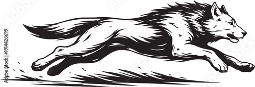 Wolf running fast in stretched leap position for wild nature and motion concept branding