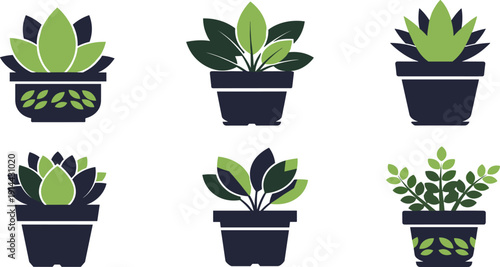 Potted houseplants and succulents icons set, flat vector illustrations with various green indoor plants in dark ceramic pots isolated on white background.