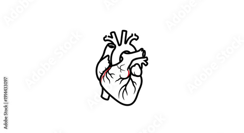 Human Heart Anatomy Medical Outline Organ Icon, isolated white background