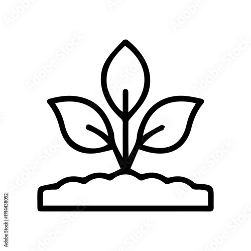 Young plant sprout in ground