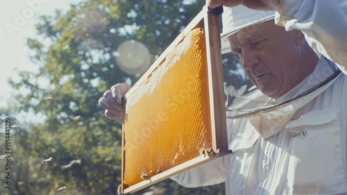 Wallpaper Mural Beekeeper in white protective suit inspects honeycomb frame, revealing honey and bees, while standing near beehives in a sunny outdoor setting, dawn shifting, digital detox   Torontodigital.ca