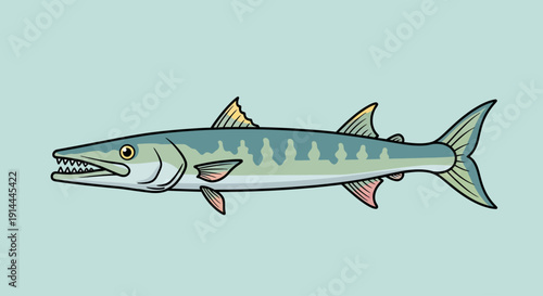 Illustration of a predatory fish with sharp teeth and distinct markings.