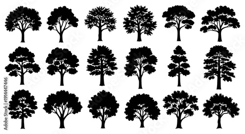Collection of Tree Silhouettes.