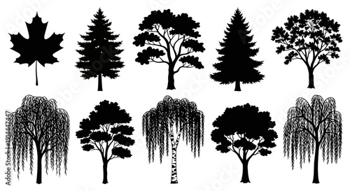 Collection of Tree Silhouettes.