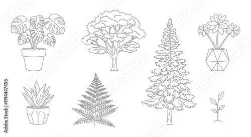 Collection of Various Plants.