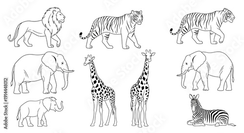 Wild Animals Line Drawings.