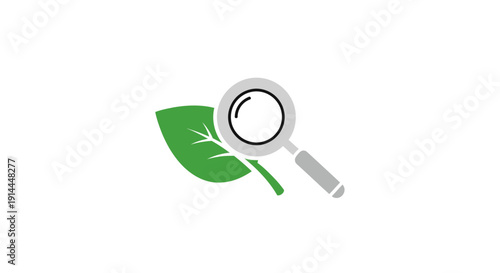 Magnifying glass on green leaf.