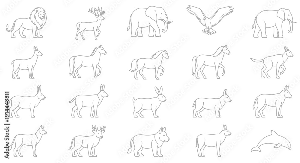 Obraz premium Various Animals Line Drawings.