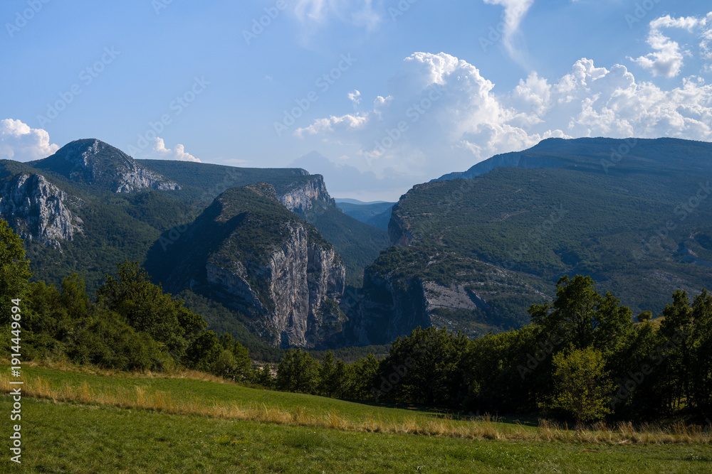Obraz premium Sweeping landscape of dramatic limestone cliffs and forested slopes in the Verdon Gorge, with a sunlit grassy meadow in the foreground and towering cumulus clouds in the blue sky.