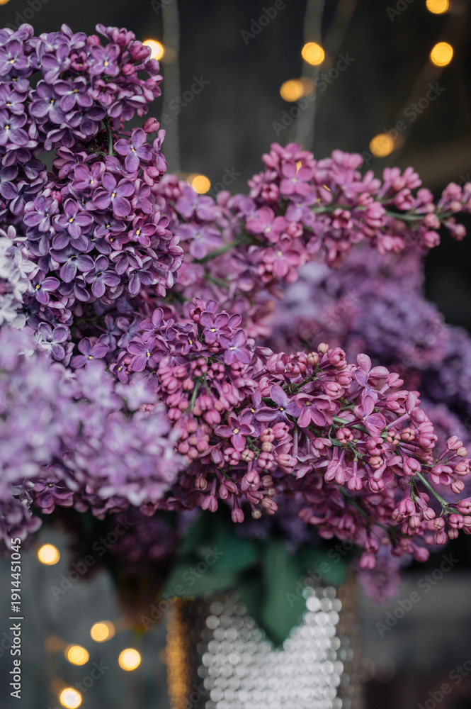 Obraz premium Close-Up of Blooming Lilac Flowers