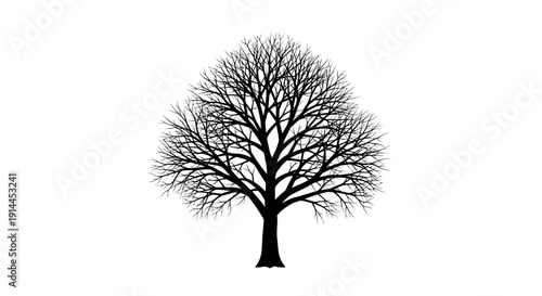 Bare Tree Silhouette Isolated.