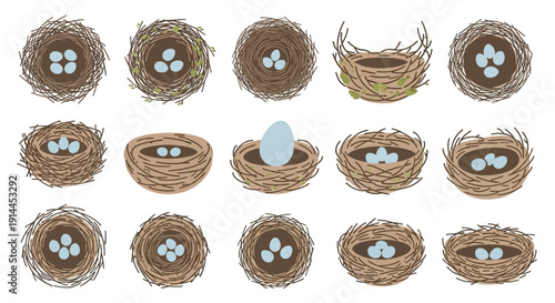 Bird Nests with Eggs.