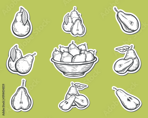 Pears set sticker pack, cut, sliced, whole, qarter, with leaves and seeds, in a bowl, types of pears variations, engraving isolated