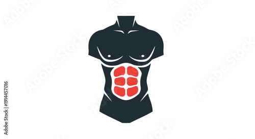 Torso man with six pack abs.