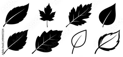Collection of various leaf silhouettes and outline icons representing different tree species