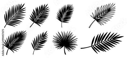 Collection of palm leaf silhouettes and fronds for religious or tropical design
