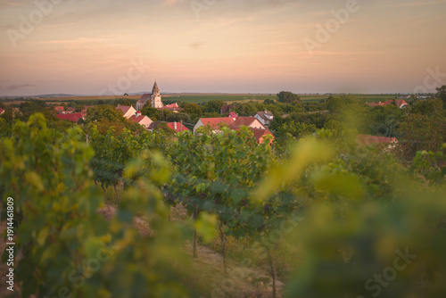 Scenic sunset view of St. Wolfgang Church in Hnanice, South Moravia, framed by blurred green vineyard leaves near Podyji National Park.