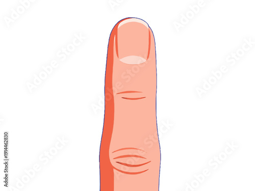 vector illustration of index finger