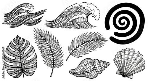 Oceanic elements illustration featuring waves leaves shells and spiral design.