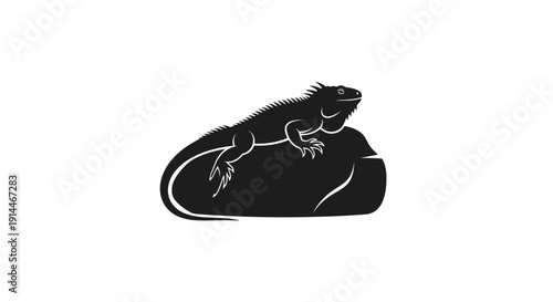 Black and White Lizard Silhouette on Rock for Nature Themes