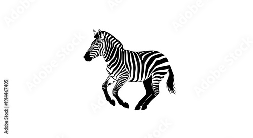 Black and White Zebra in Motion with Striped Pattern
